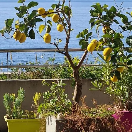 Apartment Splendide Vue